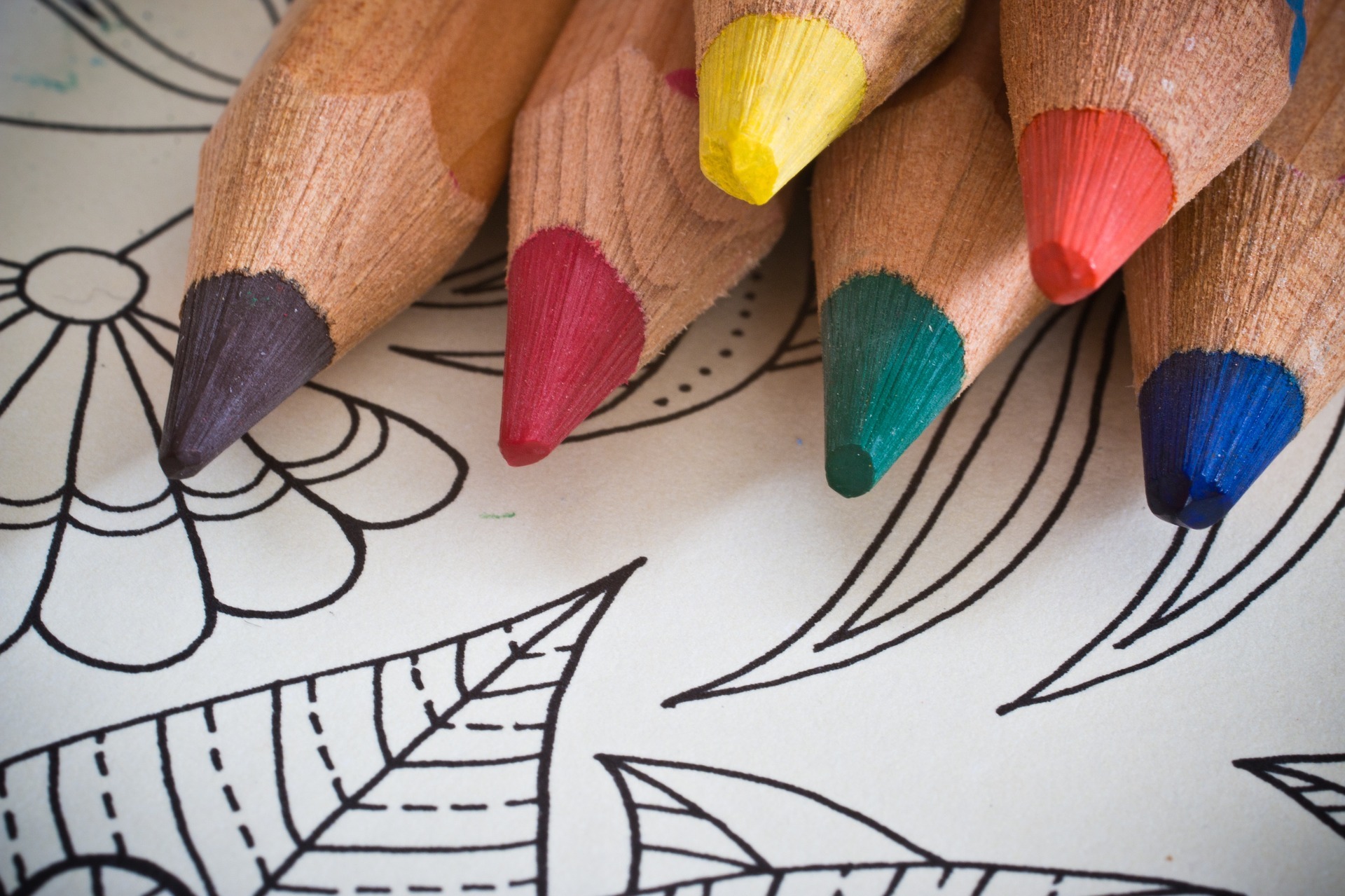 Adult Coloring Club February 10, 2020 Unleash Council Bluffs