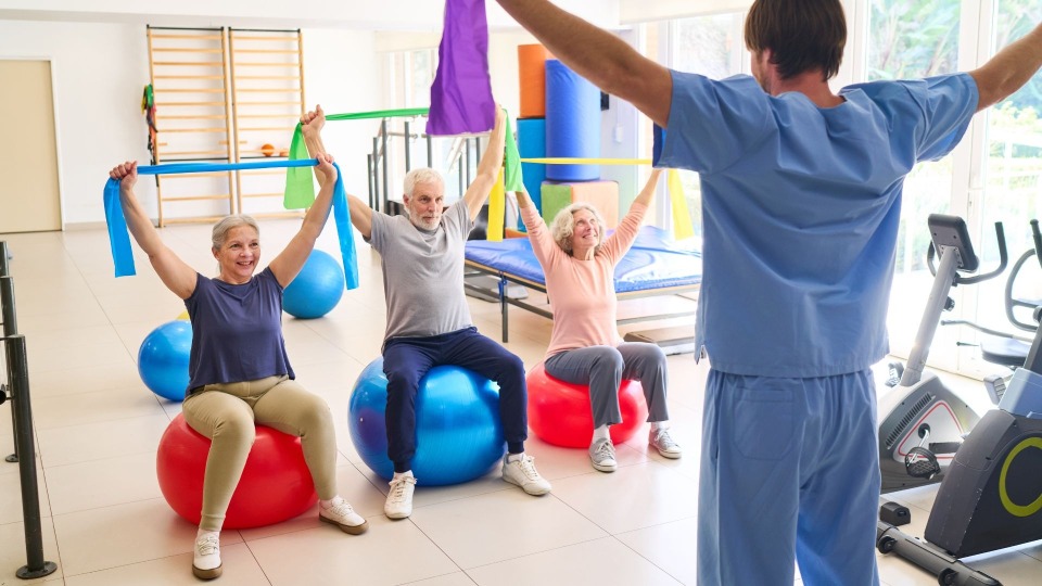 Featured image for Waterfowl Identification | A Land Ethic Workshop