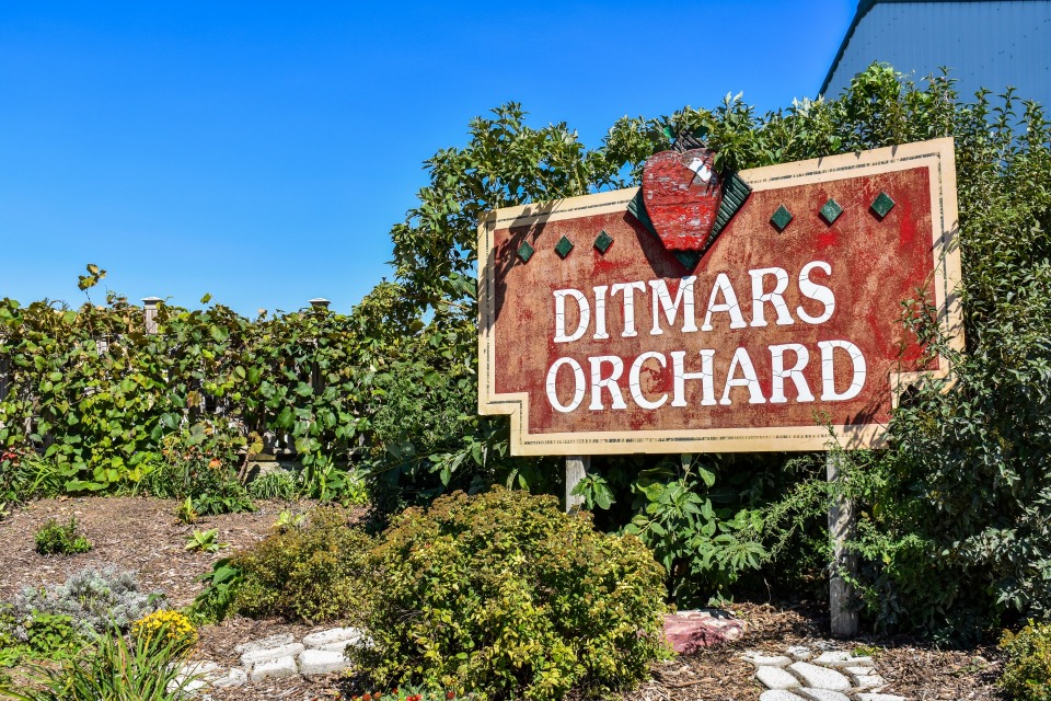 Free Friday Night Movies at the Orchard The Nightmare Before