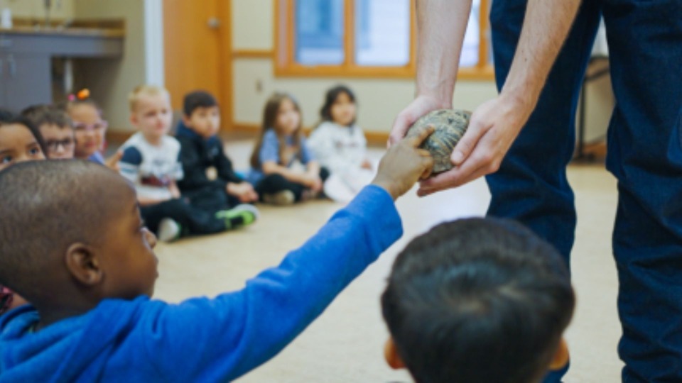 Featured image for Zoning Board of Adjustment Meeting