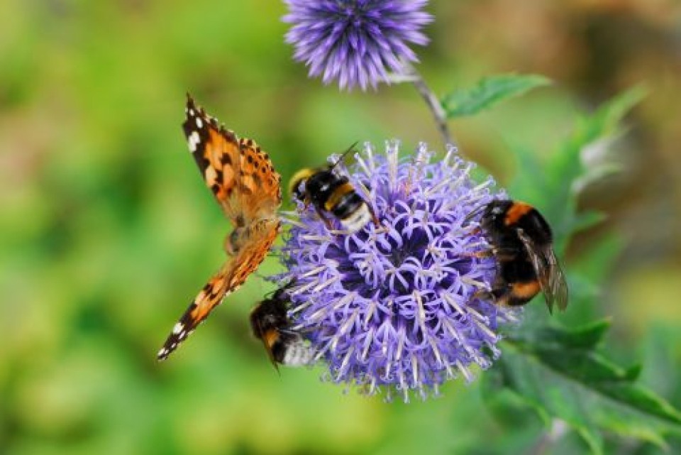 Featured image for Leading Through Change