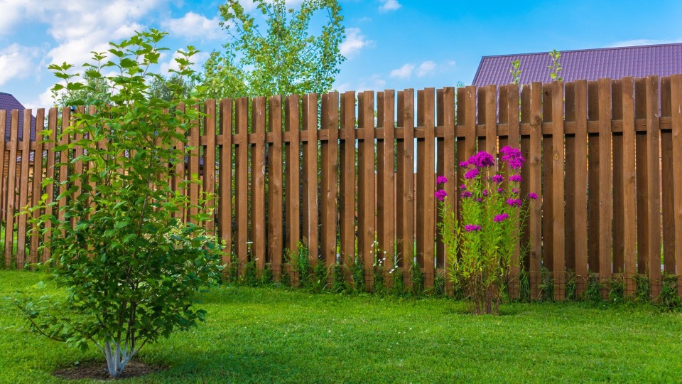 Featured image for Healthy Lawns, Healthy People