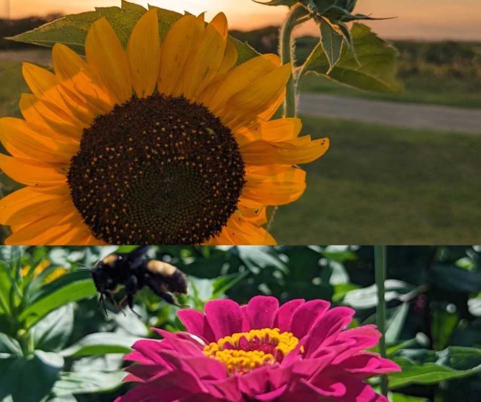 Featured image for Storytime @ the Library 