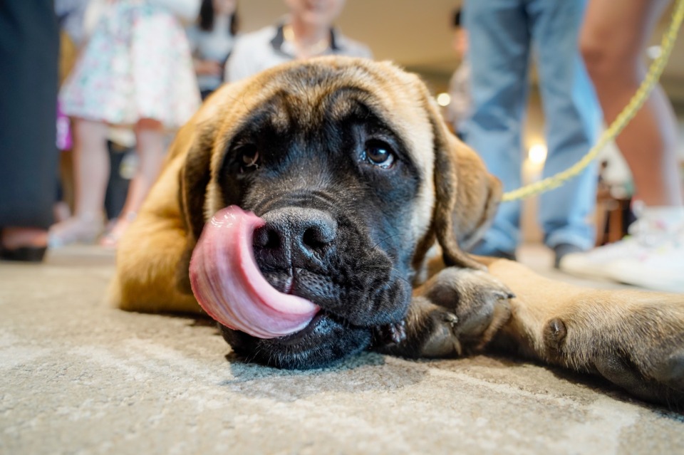 Featured image for Instant Guitar for Hopelessly Busy People