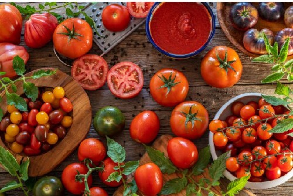 Featured image for Tomatoes: Variety Spotlight & Tasting