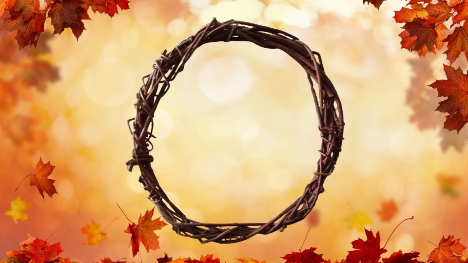 Featured image for Willow Wreath Craft