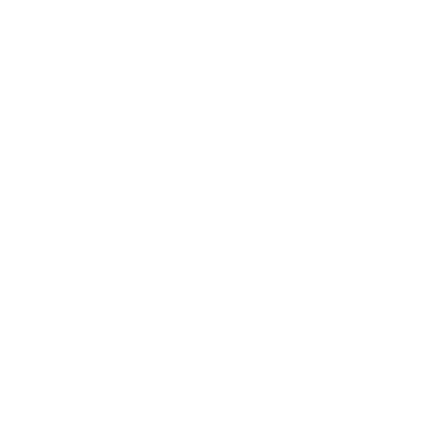 UN pin icon