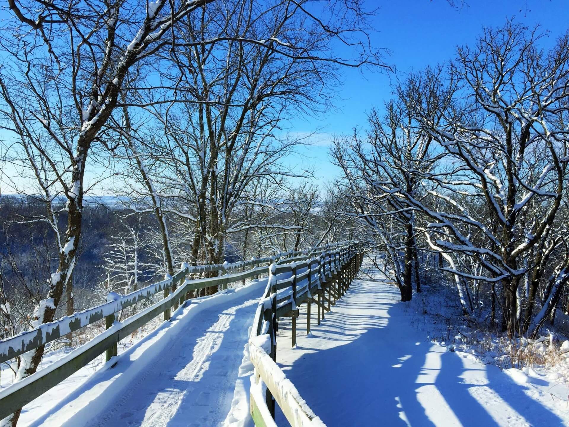 Winter outdoors at Hitchcock nature center